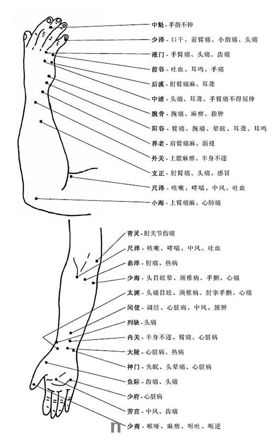 最全人体器官、穴位图及穴位图解大全-阿南资源站-综合网盘聚合资源站